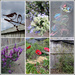 Garden Collage