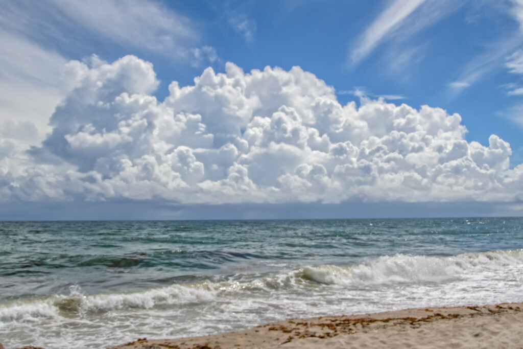 Is That You Imelda? by danette