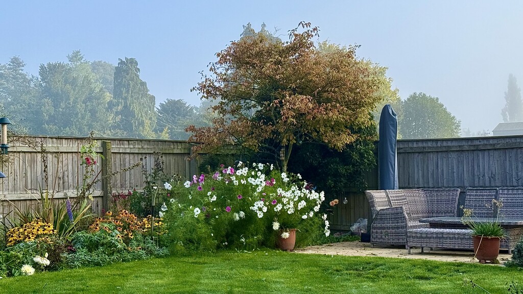 Three Seasons… by carole_sandford