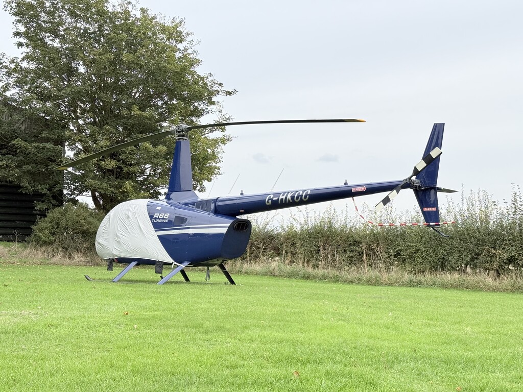 Chopper by phil_sandford