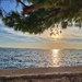 I love the sea.