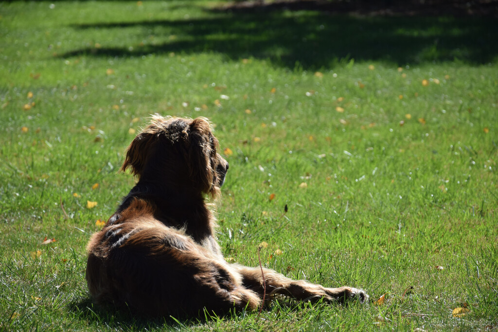 Moka by parisouailleurs