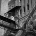 Fire Escapes  by dkellogg