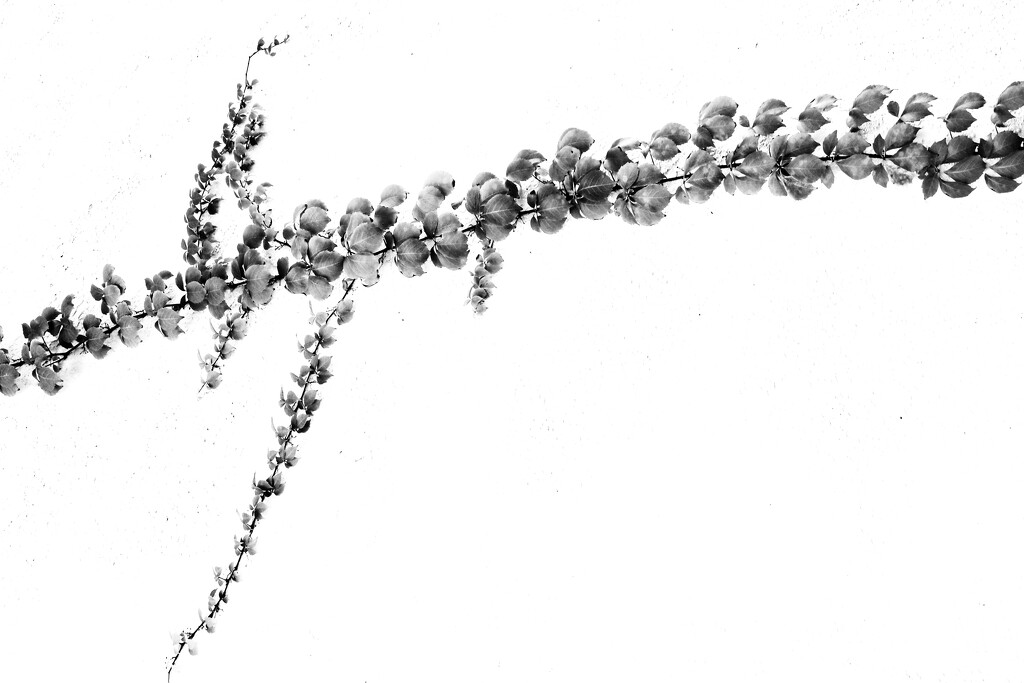 LIFE SMELLS LIKE LOVE…… by joemuli