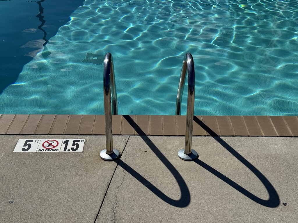 No Diving by lsquared