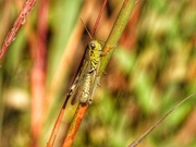 29th Sep 2025 - 29september