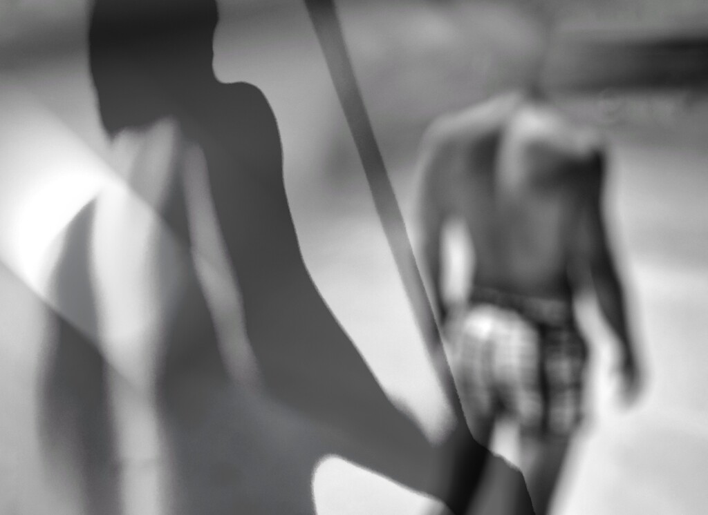 The follower  by joemuli