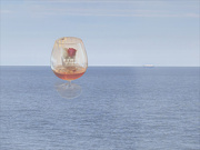 29th Sep 2025 - My dream became real-Day 3