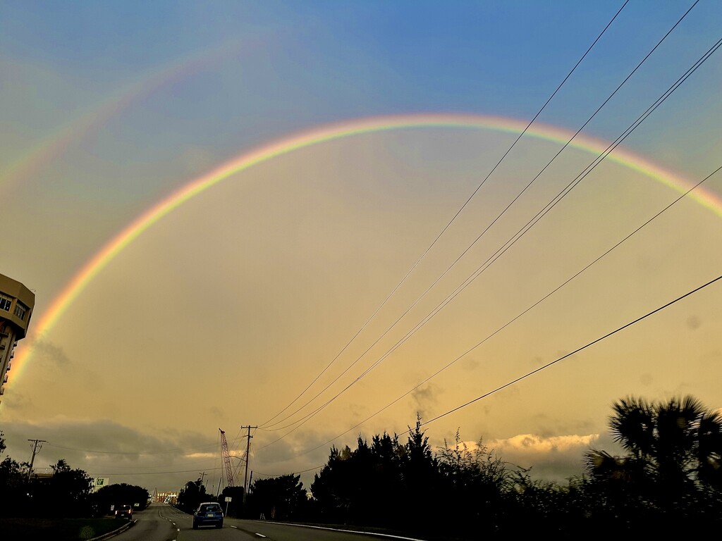 This miraculous sight greeted me as I stepped out the door yesterday. by congaree