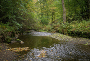 30th Sep 2025 - Woodland stream