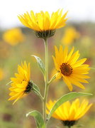 30th Sep 2025 - New Knowledge