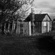 30th Sep 2025 - Outbuilding 