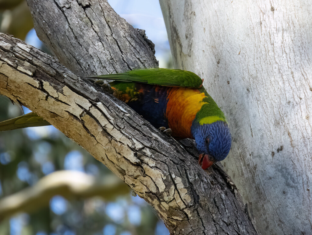 best dressed by thedarkroom