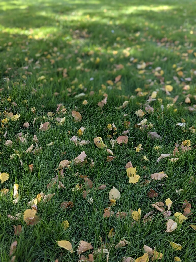 Early autumn by wakuwaku