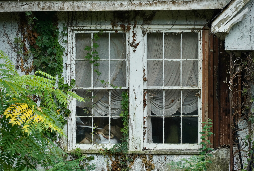 A sad house  by eudora