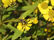 30th Sep 2025 - 30september