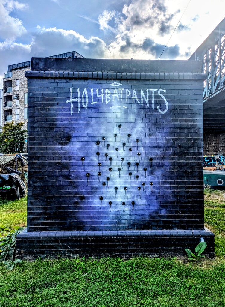 Holybatpants  by boxplayer