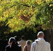 1st Oct 2025 - Walking into Autumn