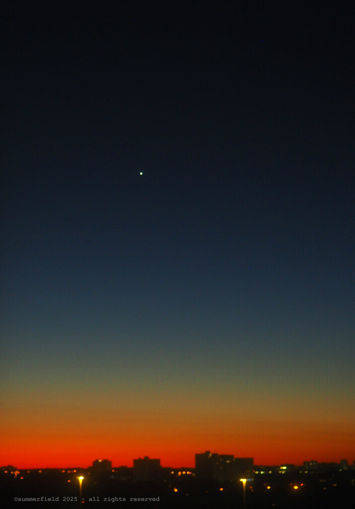 good morning starshine by summerfield