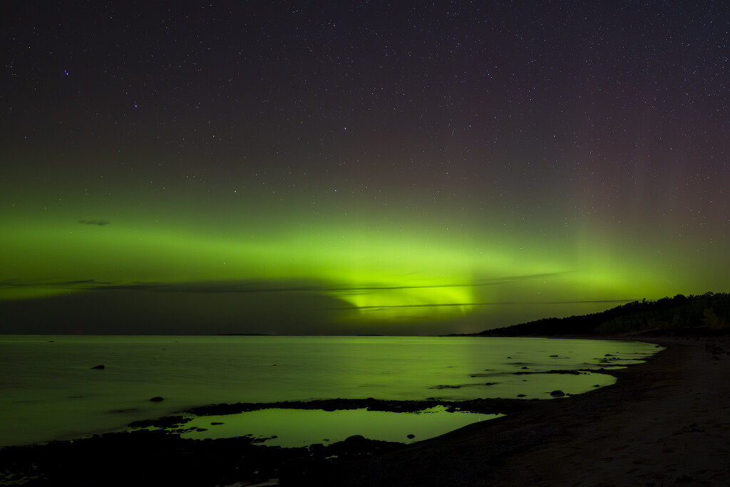 Green Sky Greetings by taffy