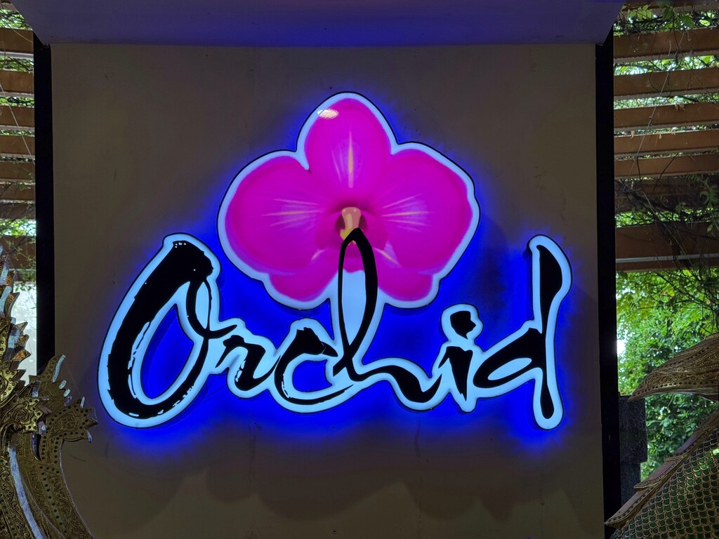 Orchid Thai Sign by shutterbug49