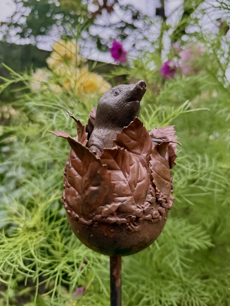 Oooops by phil_sandford