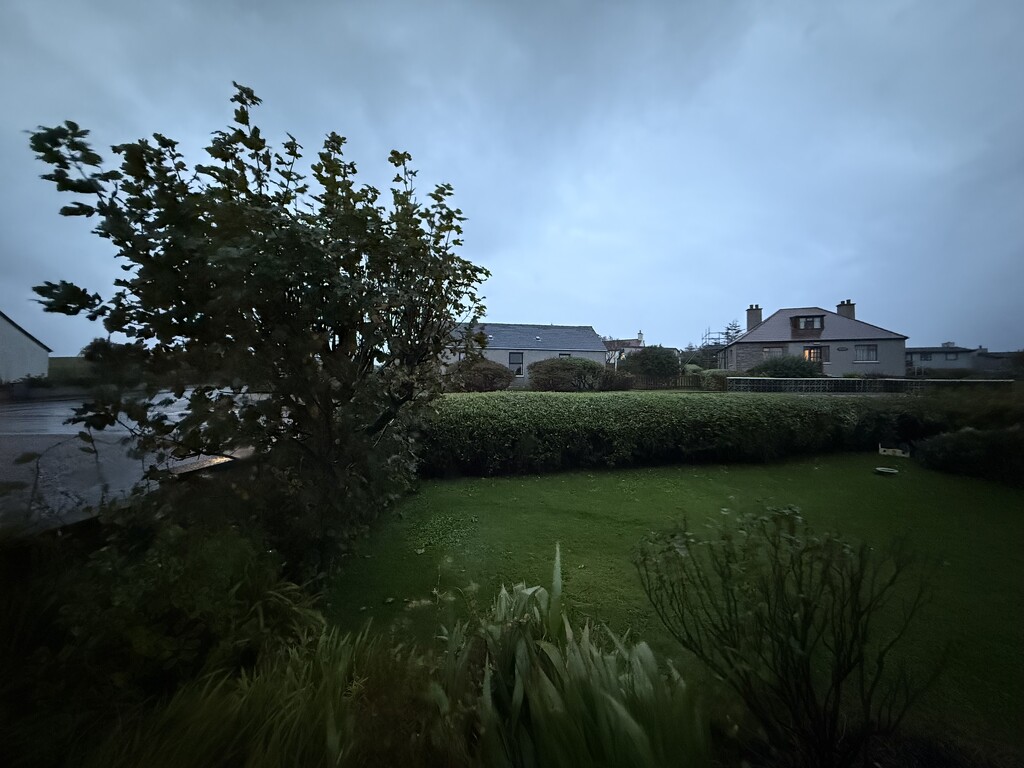 Out the Front Window by lifeat60degrees