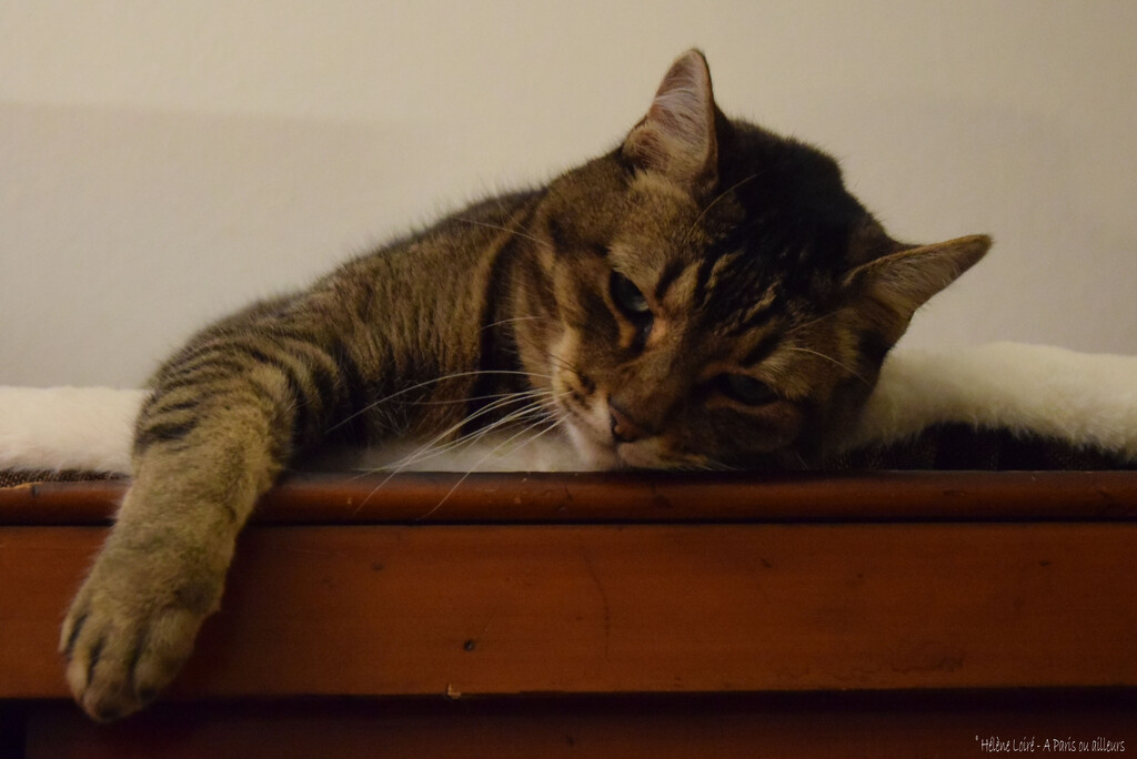 new fav spot by parisouailleurs