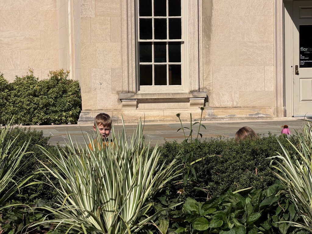 Popping up by allie912