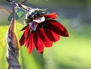 3rd Oct 2025 - Time Passes