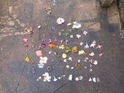 3rd Oct 2025 - Well, I didn't expect this!