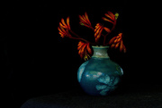 24th Sep 2025 - A month of filters - Kangaroo Paw and Vase