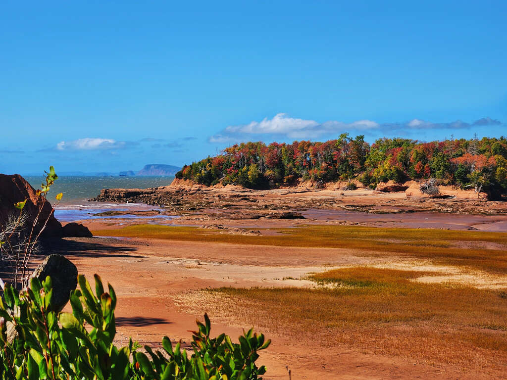 Lunchtime view by ljmanning