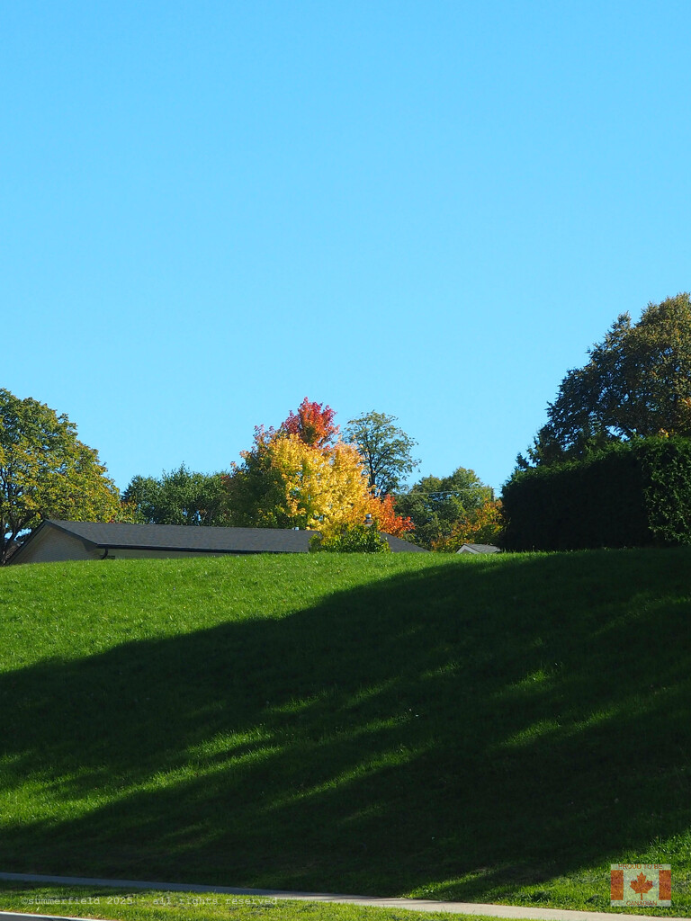 sneaking by summerfield