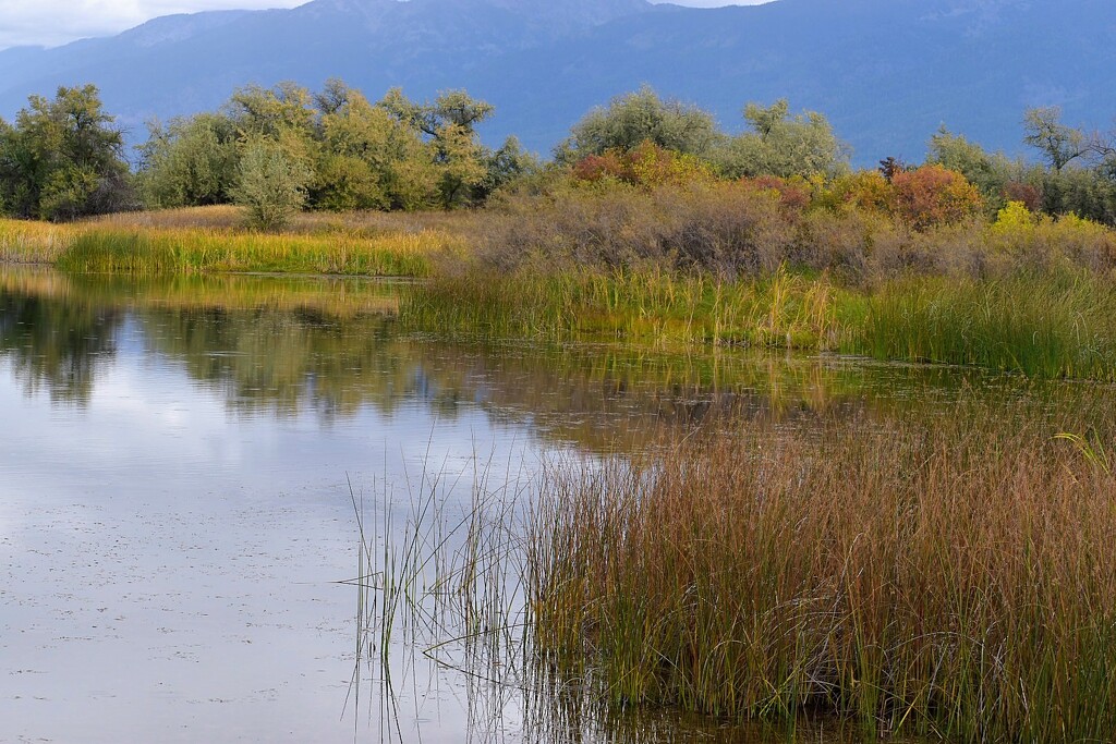 Onset Of Autumn... by bjywamer