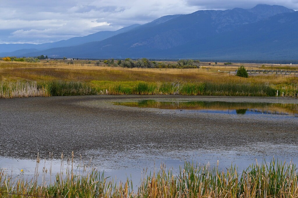 A Somewhat Sad Sight... by bjywamer