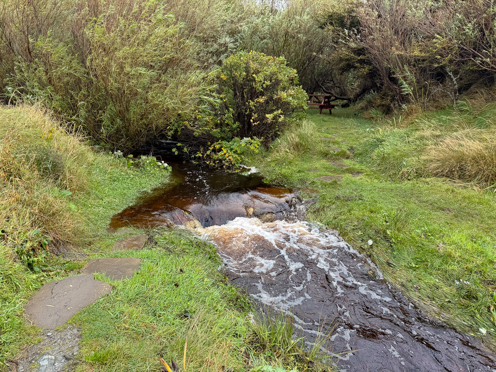 Stepping Stones by lifeat60degrees