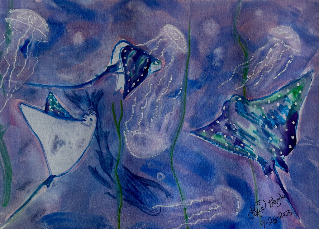 Jellies and Rays by pandorasecho