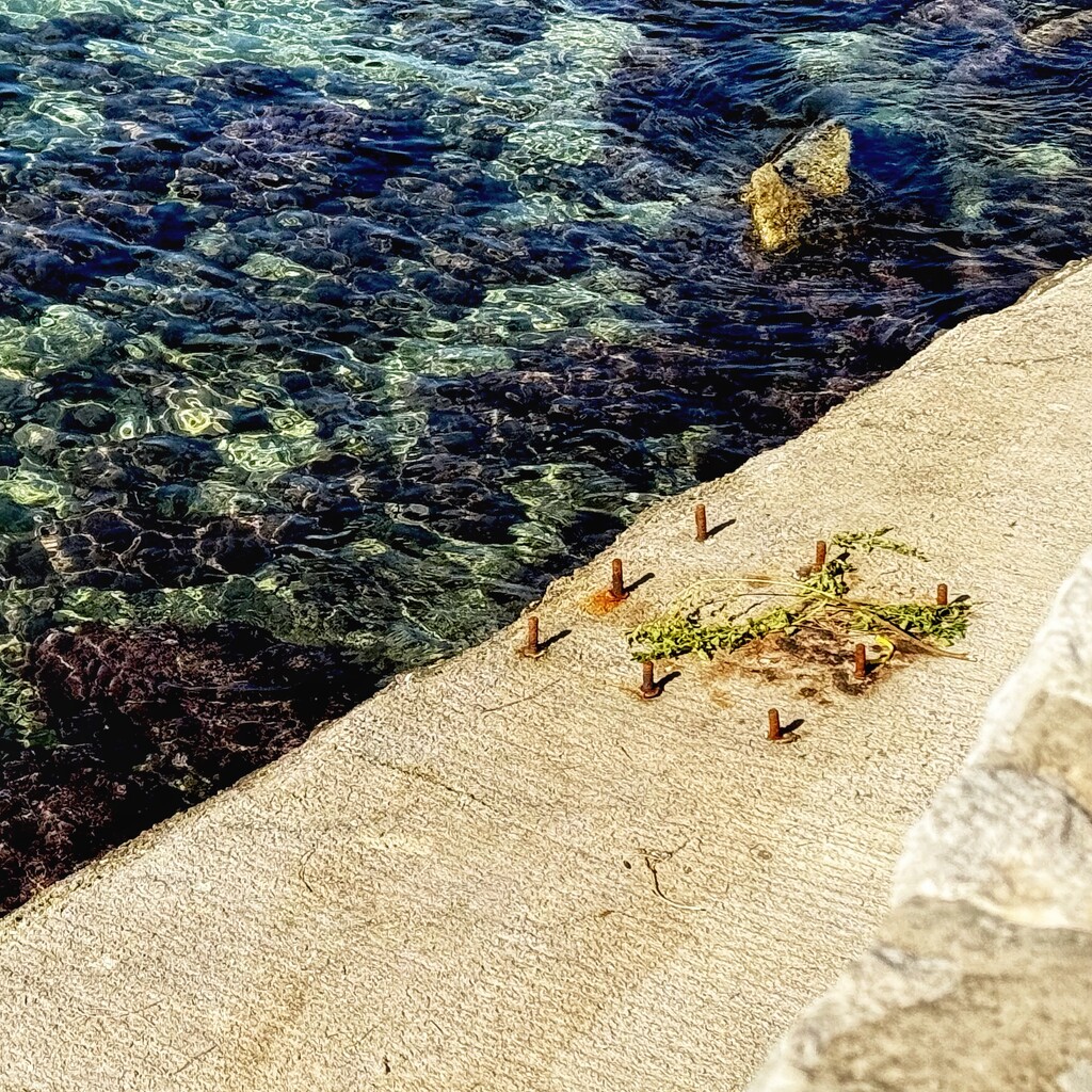 On the Water Front  by rensala