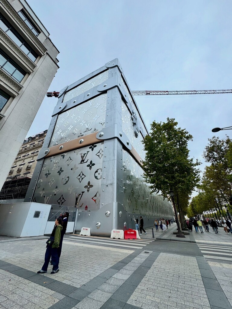 Big suitcase.  by cocobella