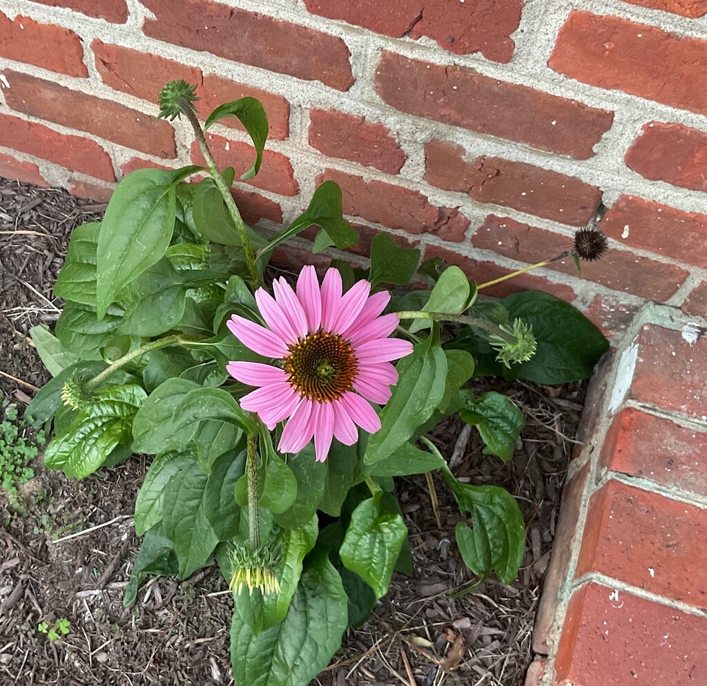 Finally! by allie912