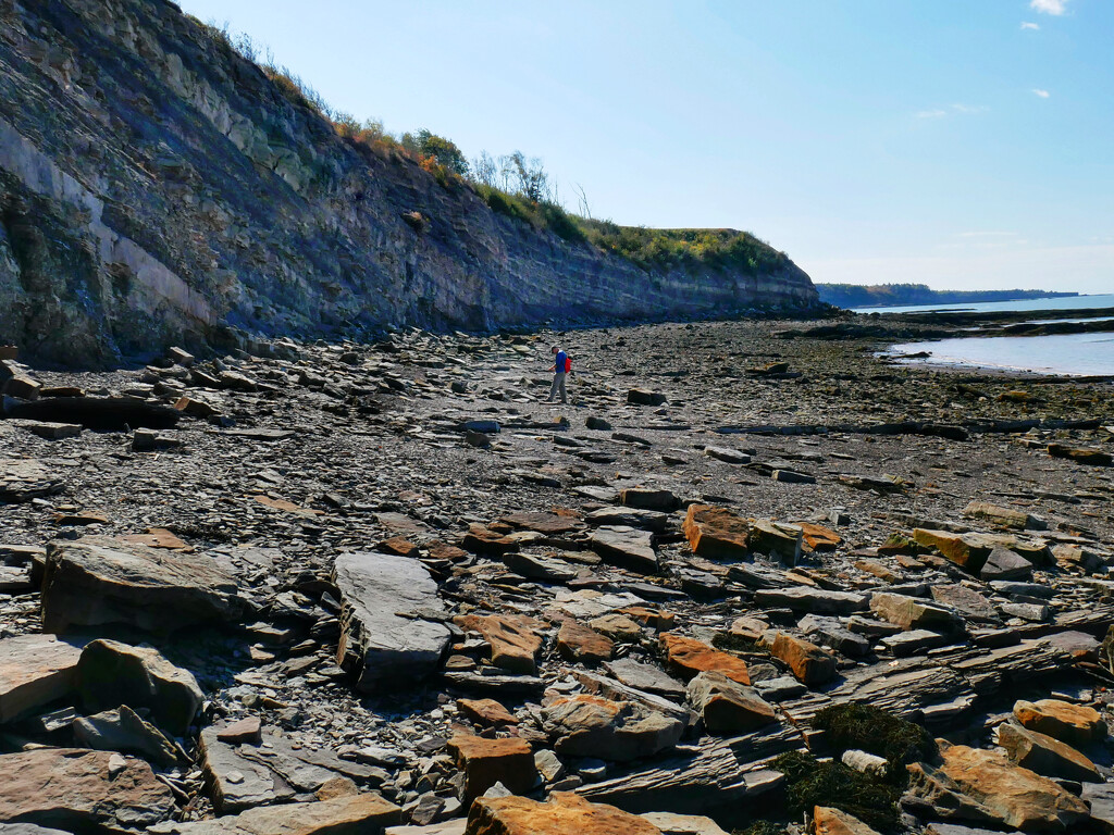 Joggins Fossil Cliffs by ljmanning