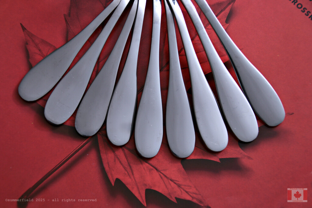 can you handle it? by summerfield