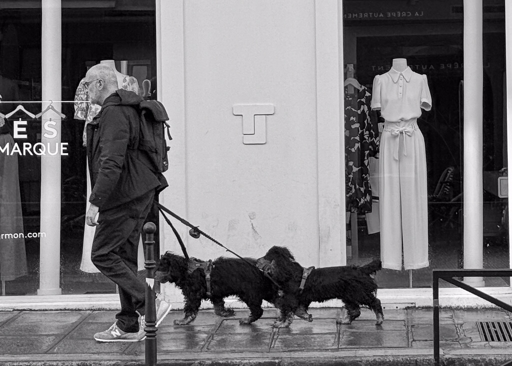 Dogs of Paris 3 by brigette