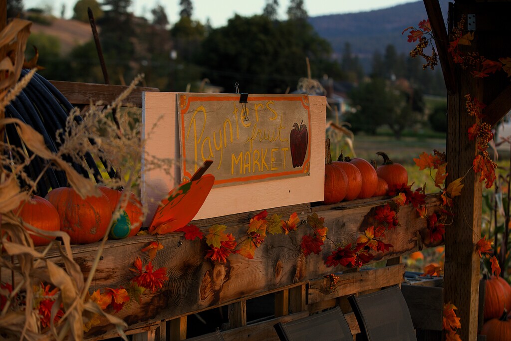 PAINT IT FALL by jerzyfotos