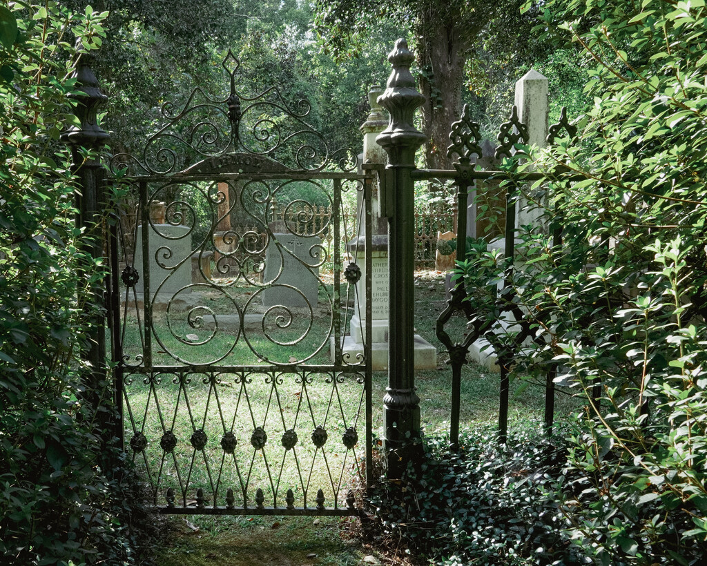 Lemon Family Cemetery by eudora