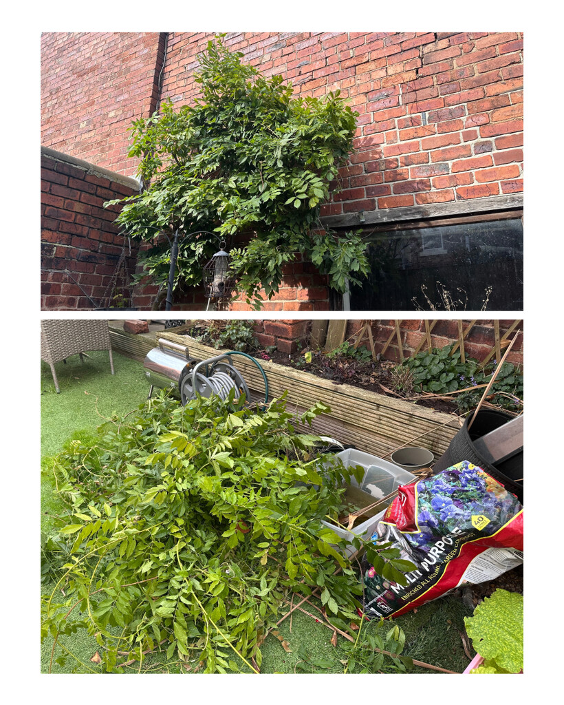 Storm Damage by leonieruth