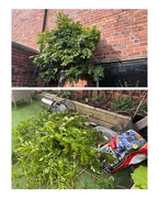 5th Oct 2025 - Storm Damage