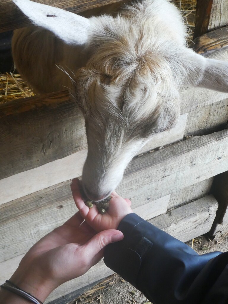 Nanny, Mummy and Child  by 30pics4jackiesdiamond