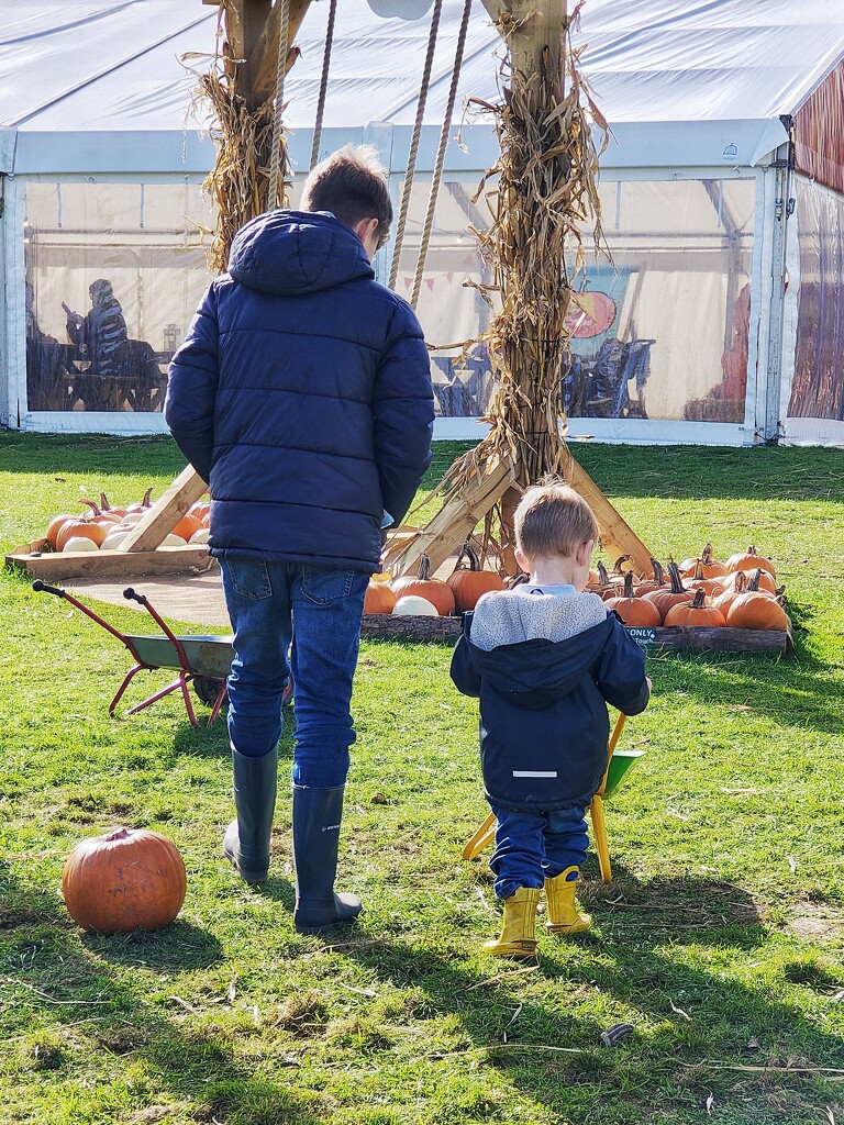 Tall and Small by 30pics4jackiesdiamond